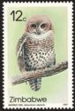 African Barred Owlet (Glaucidium capense)